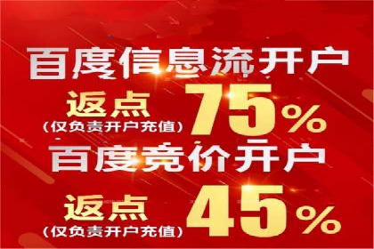 百度广告推广案例费用分析报告
